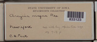 Image Associated With the Occurence